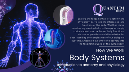 How We Work: Body Systems - An Introduction to Anatomy and Physiology