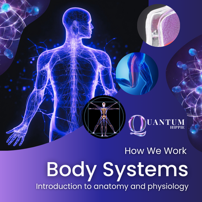 How We Work: Body Systems - An Introduction to Anatomy and Physiology